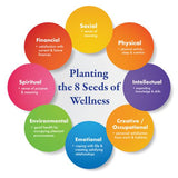 Wellness Woman Academy