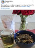 Sacred Rest™ Soursop Leaf + Lemongrass Herbal Tea